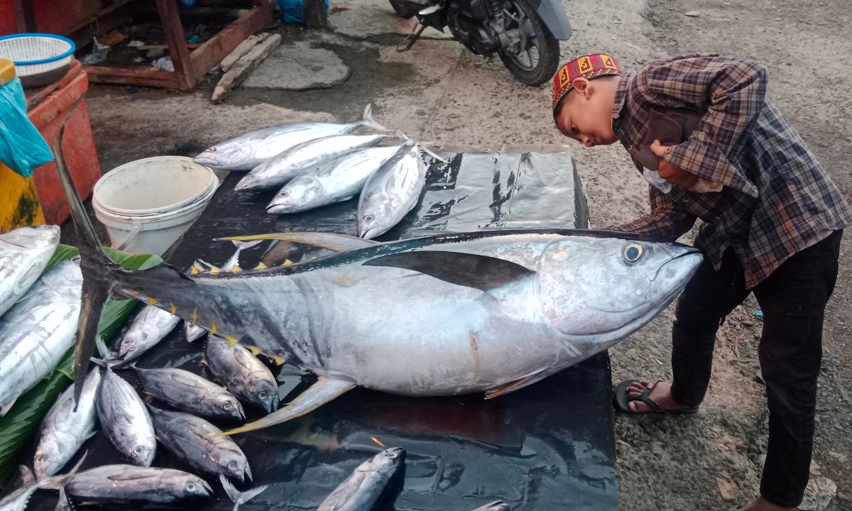 Lebaran, Harga Ikan Laut Segar di Aceh Melambung
